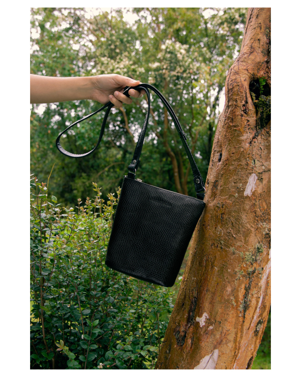 CARTERA CALBU 3